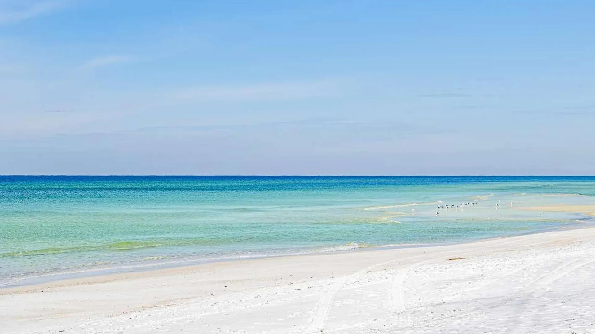 Semesterbostad Sand Dollar By Emerald Coast Retreats Panama City Beach